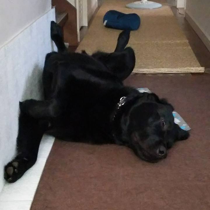 A35cd038 b76e 4bc2 85c1 3f94d4f7e5a7 1691810309449