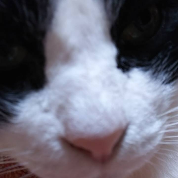 A35cd872 9bb4 4545 88ca 93709a3c1cb3 1563586038281