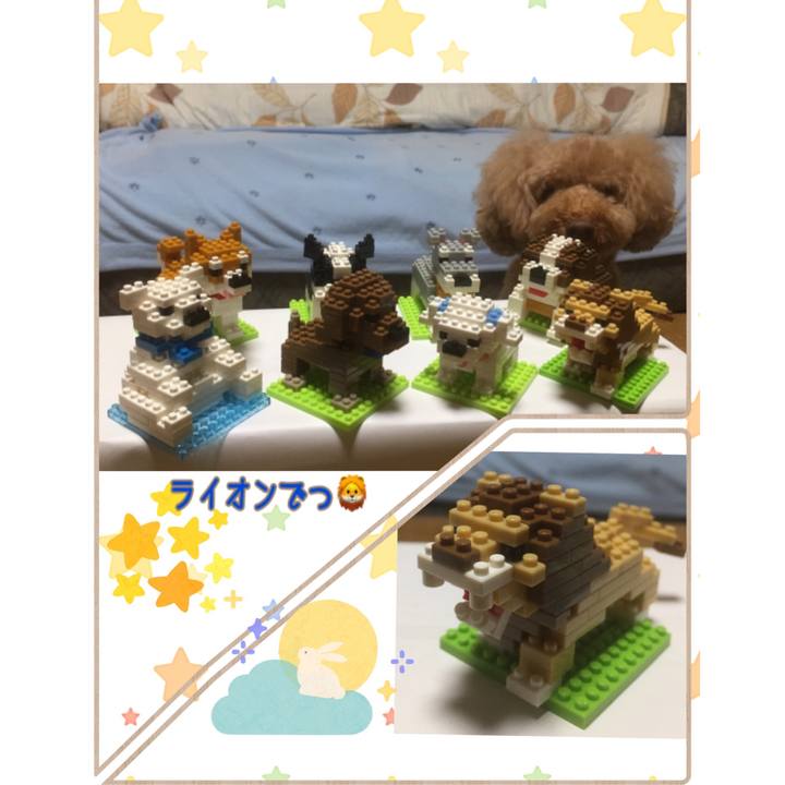 A35d2d9c 2490 4657 8fc1 4c7539f1af84 1537868978878