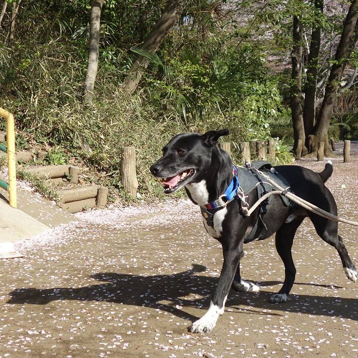 A35d59d0 1a62 4011 81bf ca0c7c1a286f 1649379446871