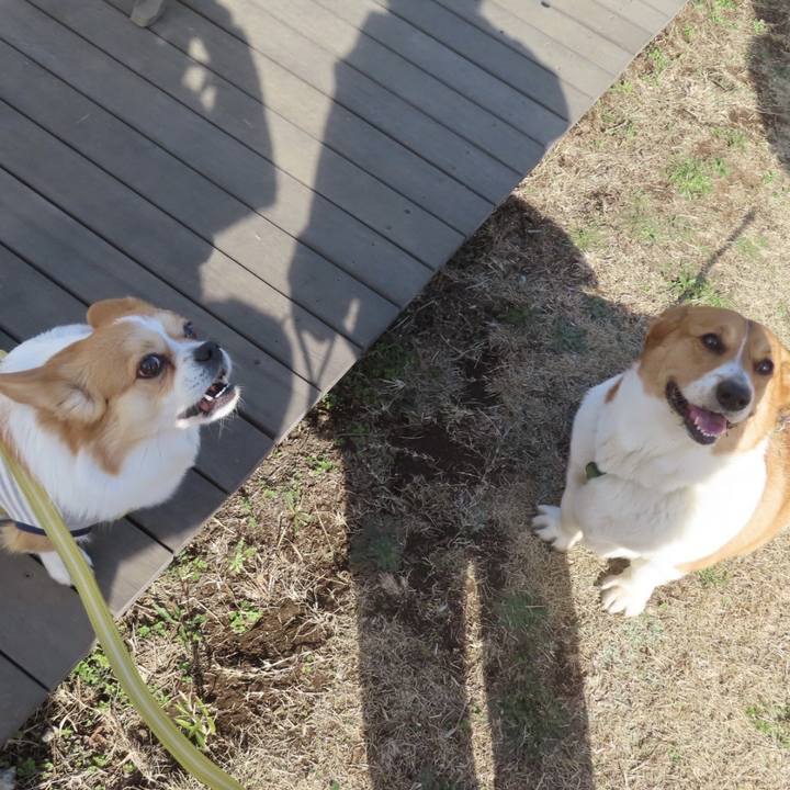 A35d5f91 6fa3 49ce 9f49 f62b79599744 1708916736742