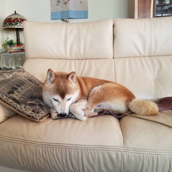 A35d64d0 6015 4b2a a0d3 a2100536dd38 1660868676774