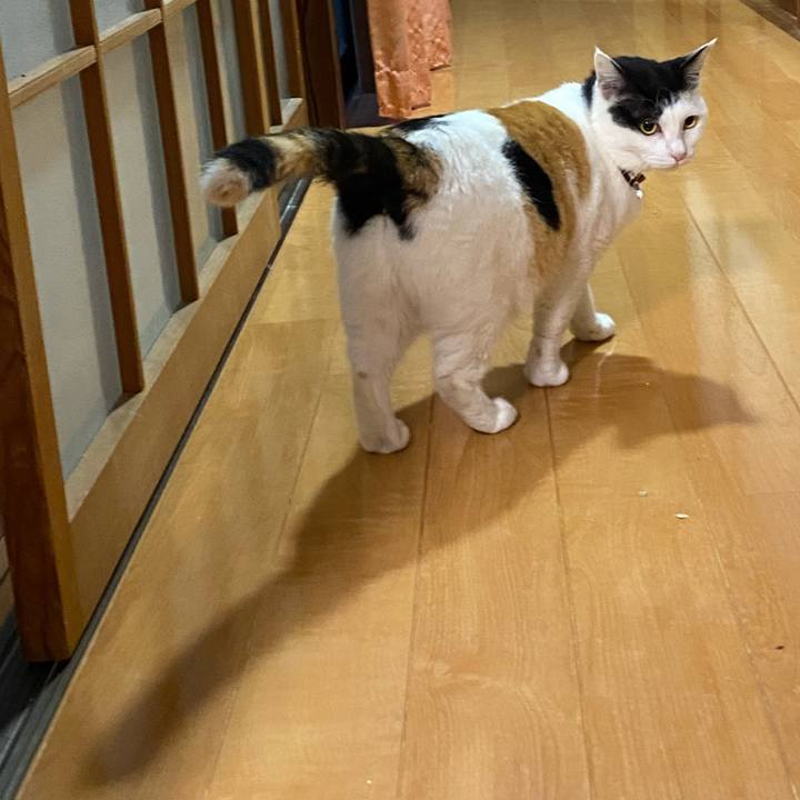 A35d68e6 7df1 47fc b1ab 0287af48c3fc 1652706328410