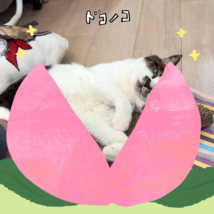 A35de426 ffa8 4acf 952d a1fb07ba2ba9 1771836842580