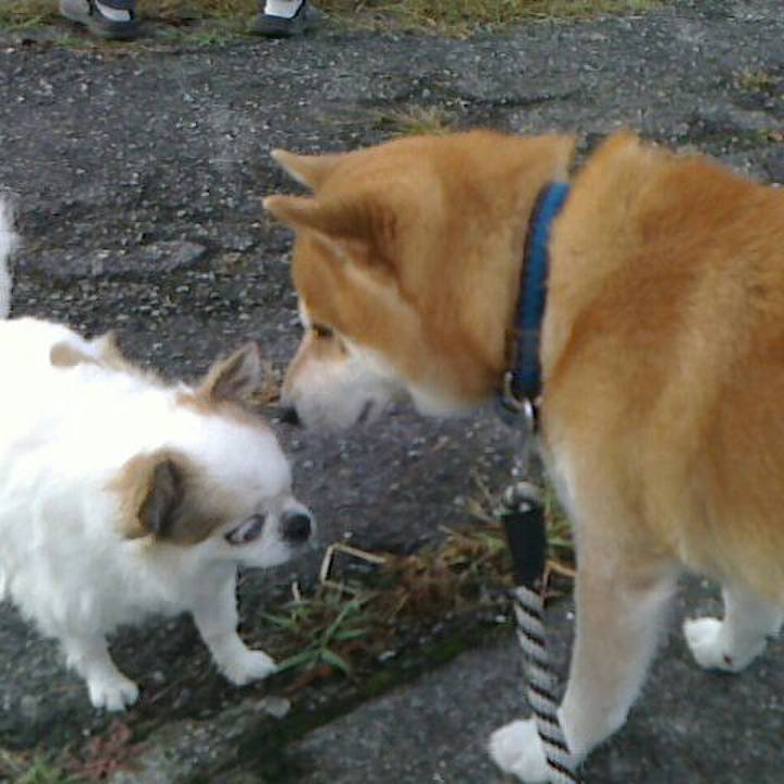 A35e203d 1b7f 4575 93fe c38c1dbe4706 1571649660837