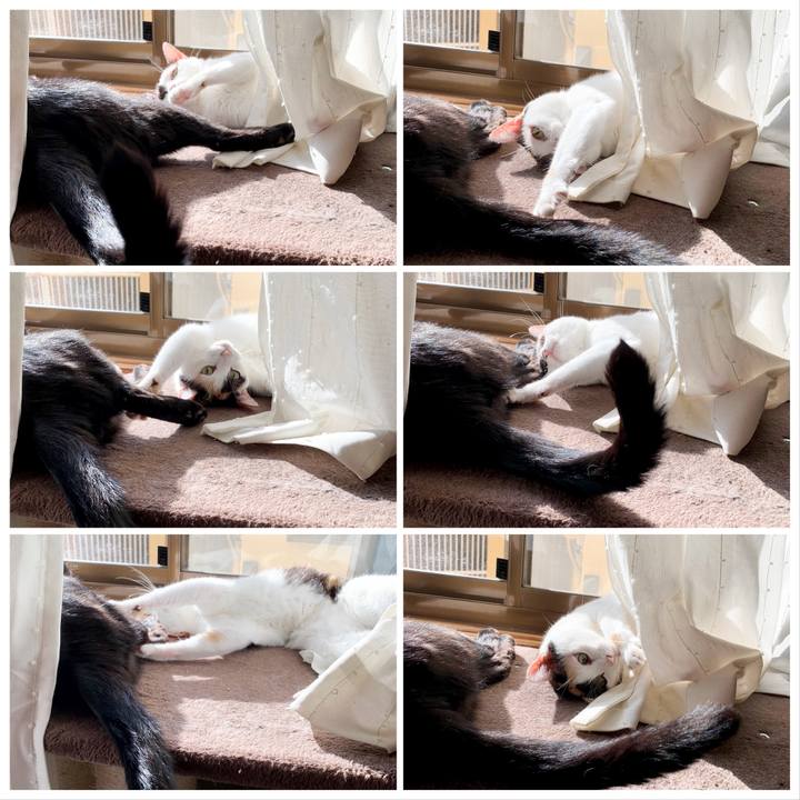 A35e4ea4 3541 4630 8354 f2b9dce55501 1539223222039