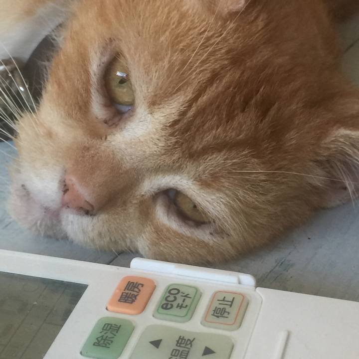 A35e650e dca6 441a 95bd d8e62f20f2cf 1567947873692