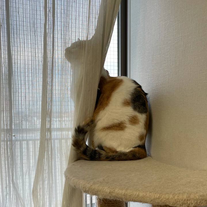 A35e6587 d8fd 4419 a8a3 217704d0fae6 1606865704975