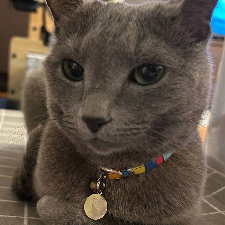 A35e8ca0 aac2 4c40 b815 b469527dba2d 1754568190566