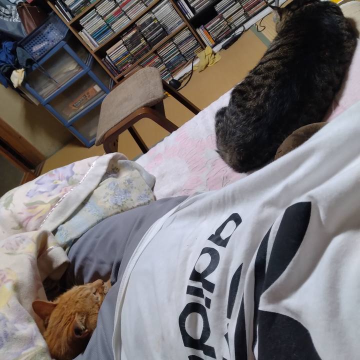 A35e8fd5 dcc2 4324 9975 65644ae3cdd2 1695905583949