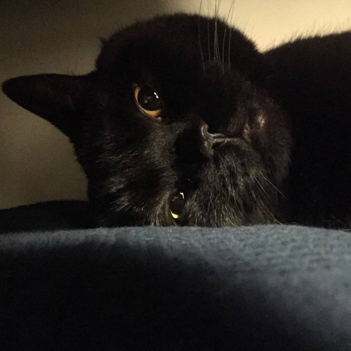 A35f3658 b305 4757 82b7 812d60457c3e 1590930577553