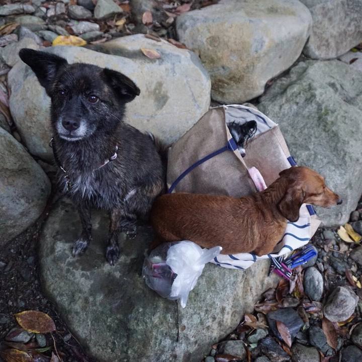 A35f37b0 4c69 4812 a6cd c9d192d307aa 1538002937766