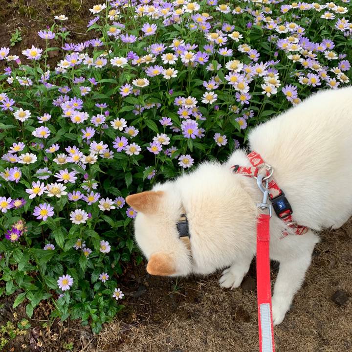 A35f5100 a6bb 43ff 92e3 0c5cbf048637 1561152907608