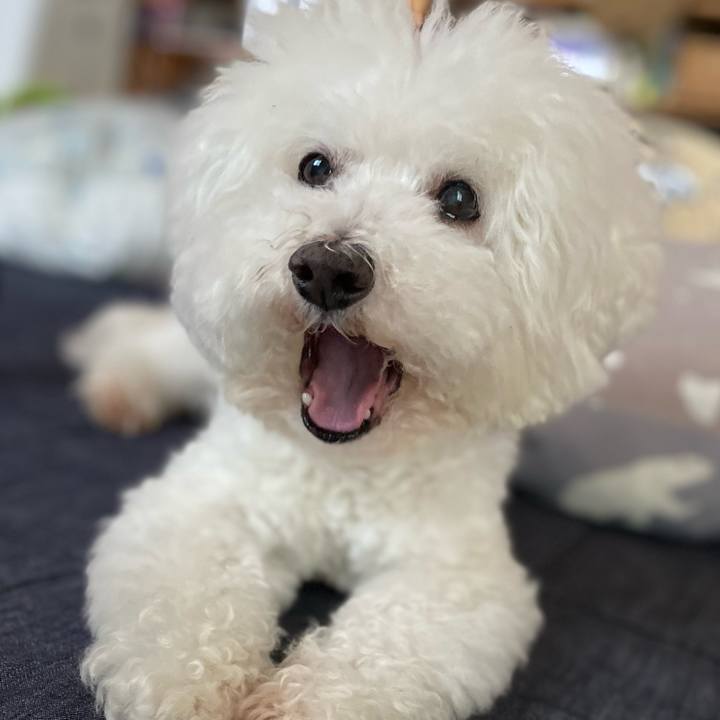 A35f6c1c 5b5d 40d9 990e c354a71cbcca 1739090102073