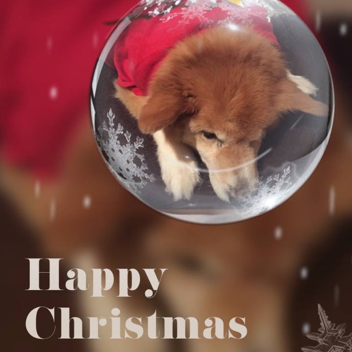 A35f7c01 04b3 4da2 99e3 59e12b57bc66 1545641712381