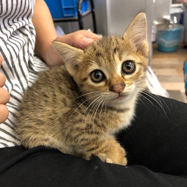 A35fbb2d 4204 42f5 9085 b7df03963daf 1630409611247