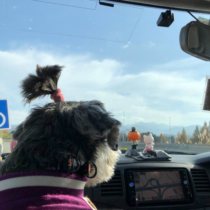 A35fe01d 1c64 4781 a28b 50d84710d8bd 1637558244975