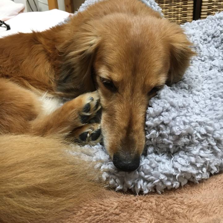 A3603f1f f34b 49f7 887e e79a106ae561 1617366816405