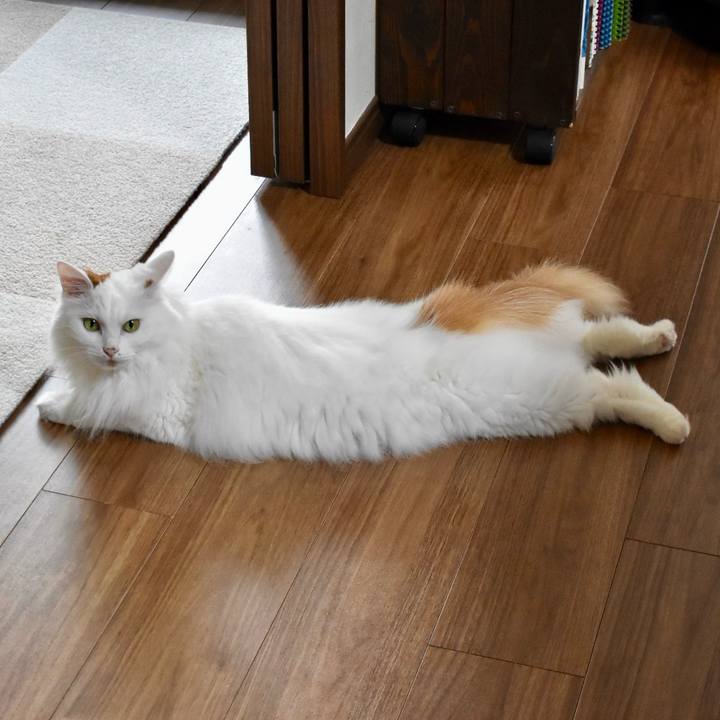 A36048bc ff2c 4625 87bf ae6e058b0b2a 1758857636555