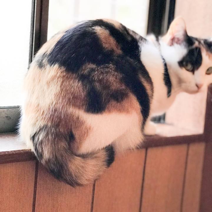 A3604c7e 1033 4624 911a 973396ae82f2 1521286323301