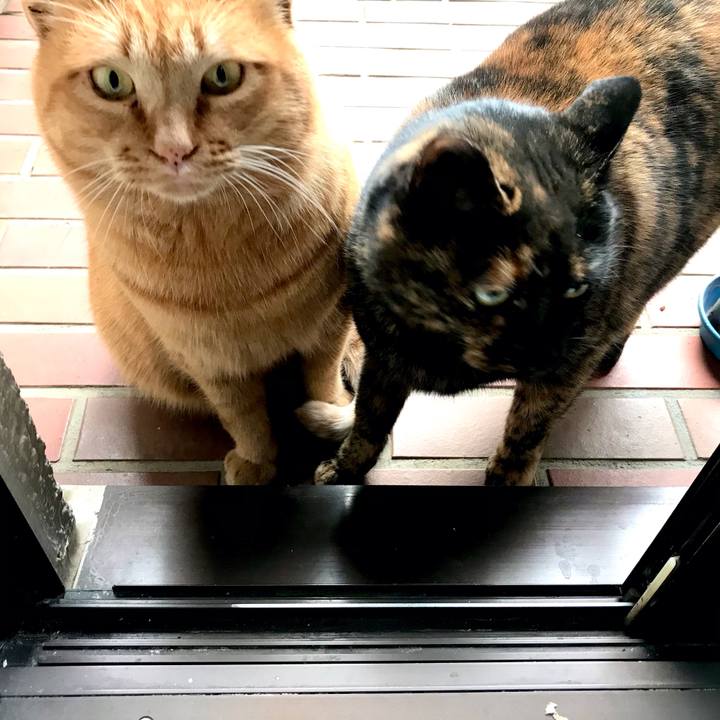 A36063da 2700 41c1 bb88 a831165862d6 1609120497790