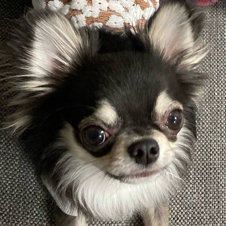 A360757d 2126 40c5 8505 c3f4d4f39585 1610368836733