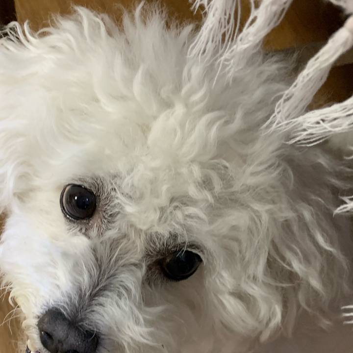 A3609015 7470 40e7 954a 8163f8f6bc3b 1589111295363