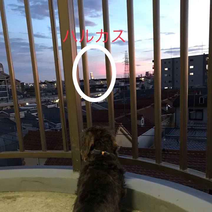 A36110fa 3389 4b67 b821 d87cdd2d84ae 1565002089097