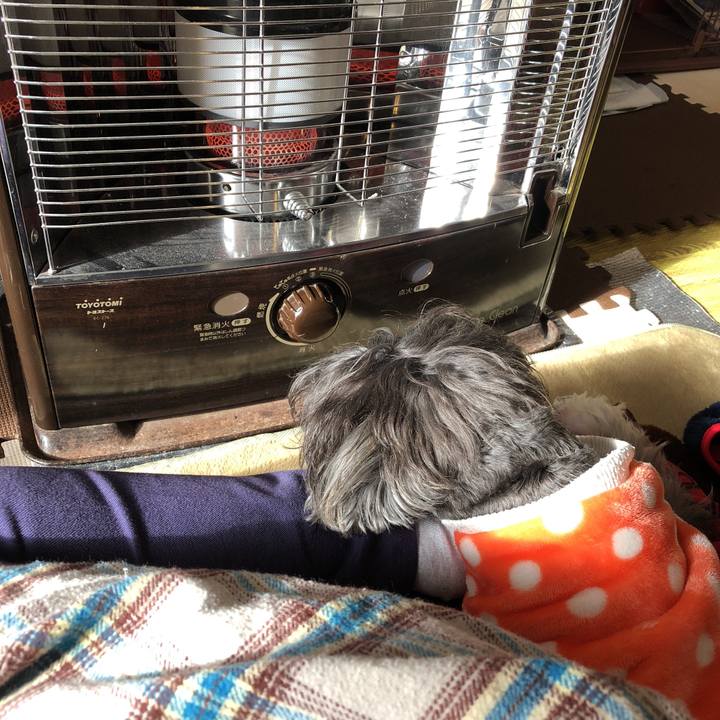 A36113a5 6714 40e8 9906 a8f151bc9cda 1514606624818