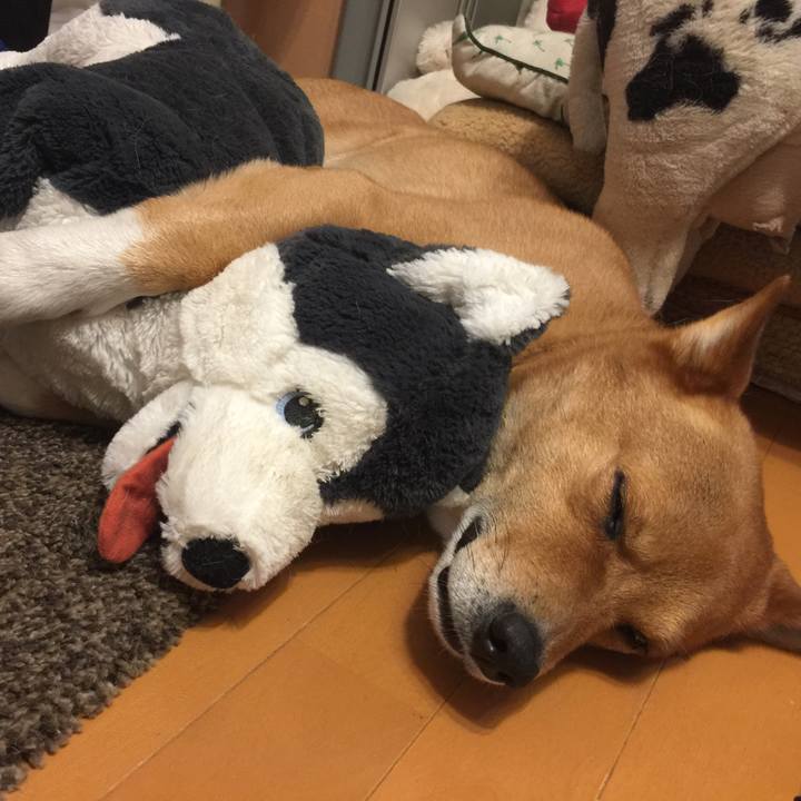 A361183a 2b94 48c8 b538 8853c85066a8 1571843810556