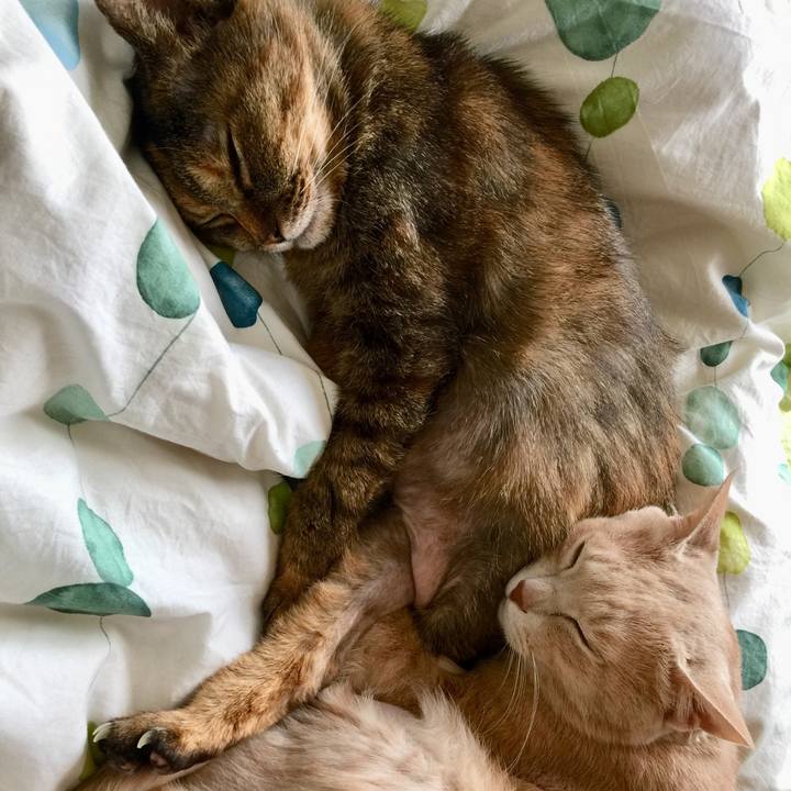 A3614b2a ca4f 4b12 a895 5bb9388ab3e8 1620265981866