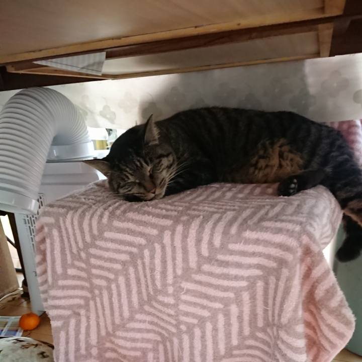 A361616a b766 44ff b54c 0d98b81a39f2 1639973882771