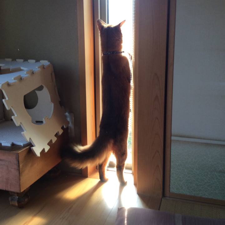 A3619718 4c3b 4b50 9eb9 34f88a9e5be9 1586414861602