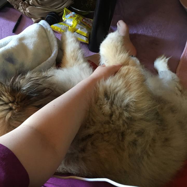 A361a037 38e6 4309 9fda bc0e63ec3d4d 1593313581241