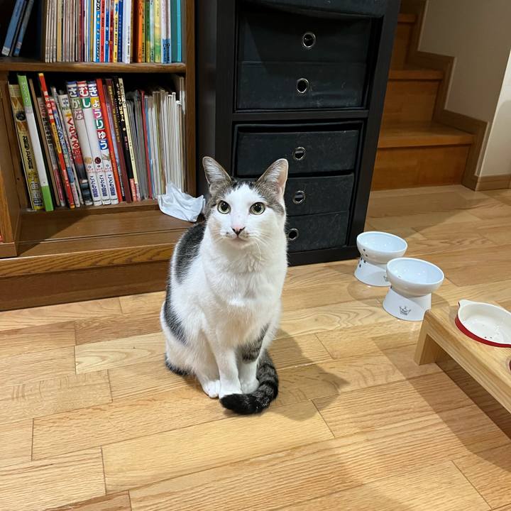 A361f11a f890 40b0 9504 493df83d0892 1649237116906