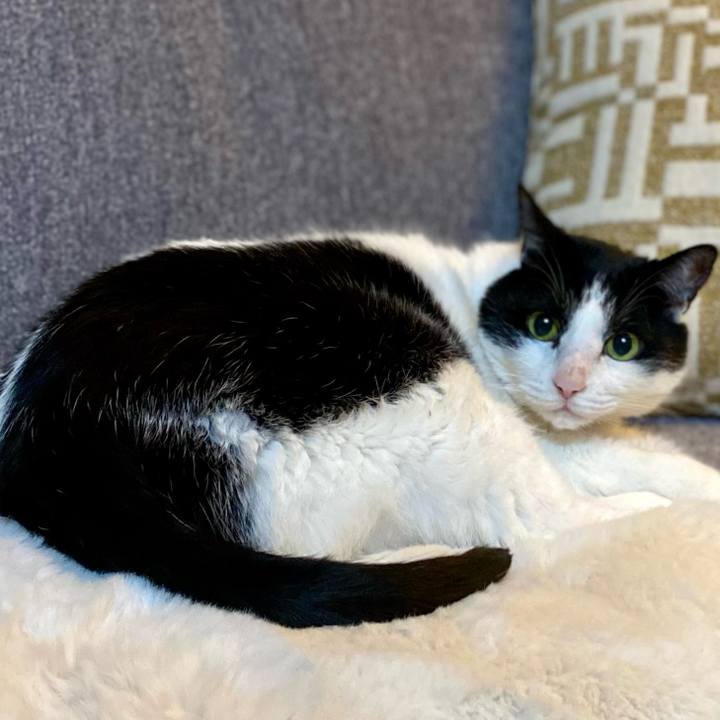 A361f8a4 8c40 48e0 9504 7cc89858e64d 1765616774015