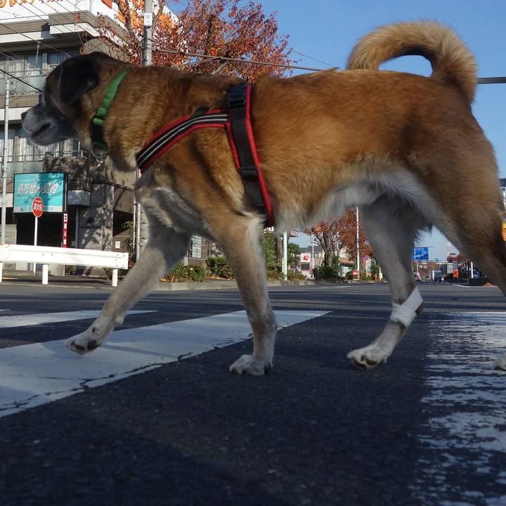 A362051f 22b4 4235 af8b 374a8a95538b 1653437439899