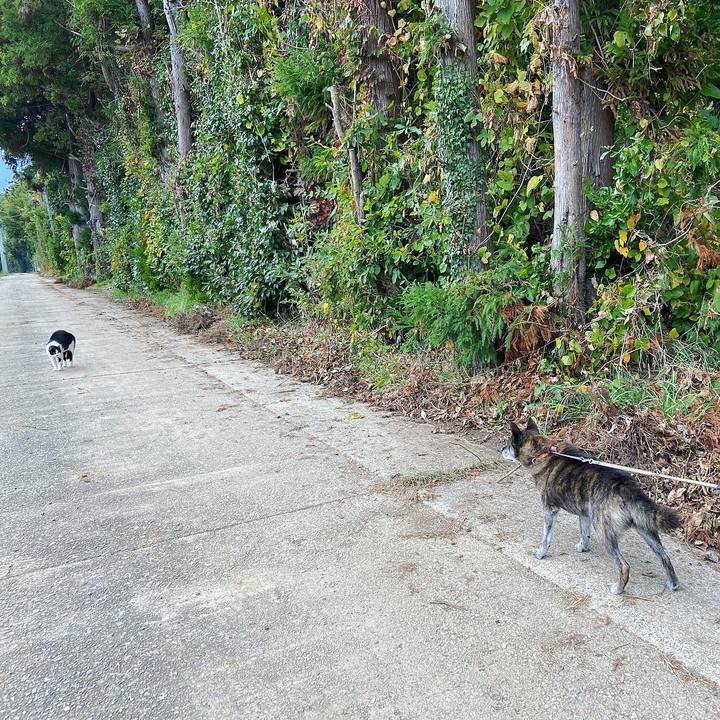 A3622b79 30f8 45f4 887b f6ff5cc9537e 1635753412377