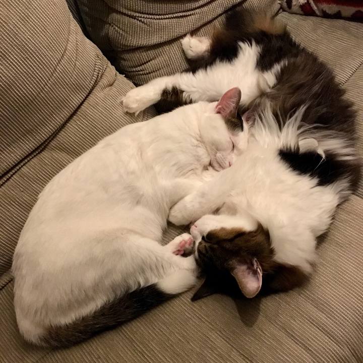 A3624d11 317f 4cc9 86c0 66e3228a680e 1512002393123