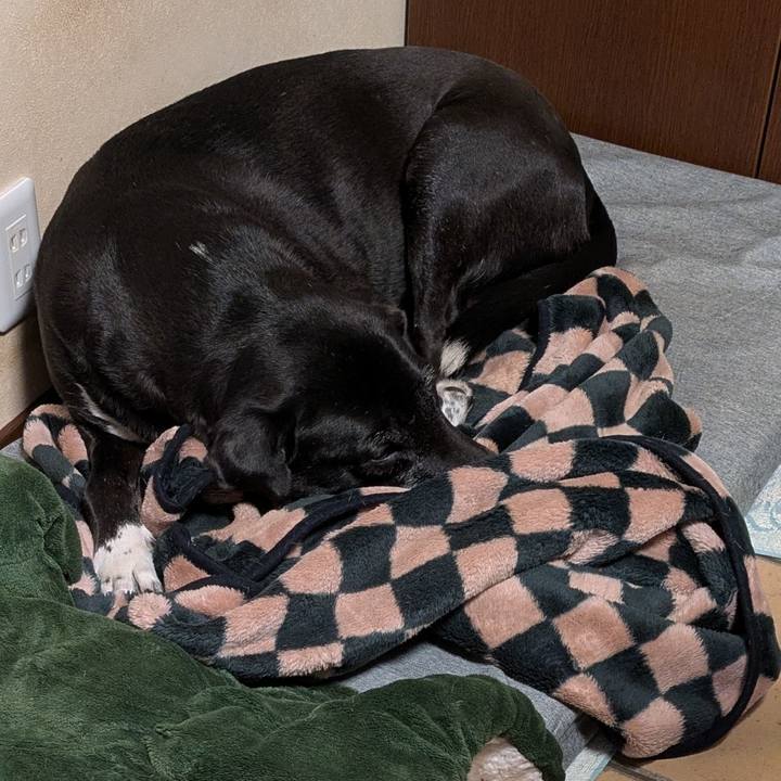 A3624e5b c785 4c93 a62b 2cd95fa42a39 1741730088519