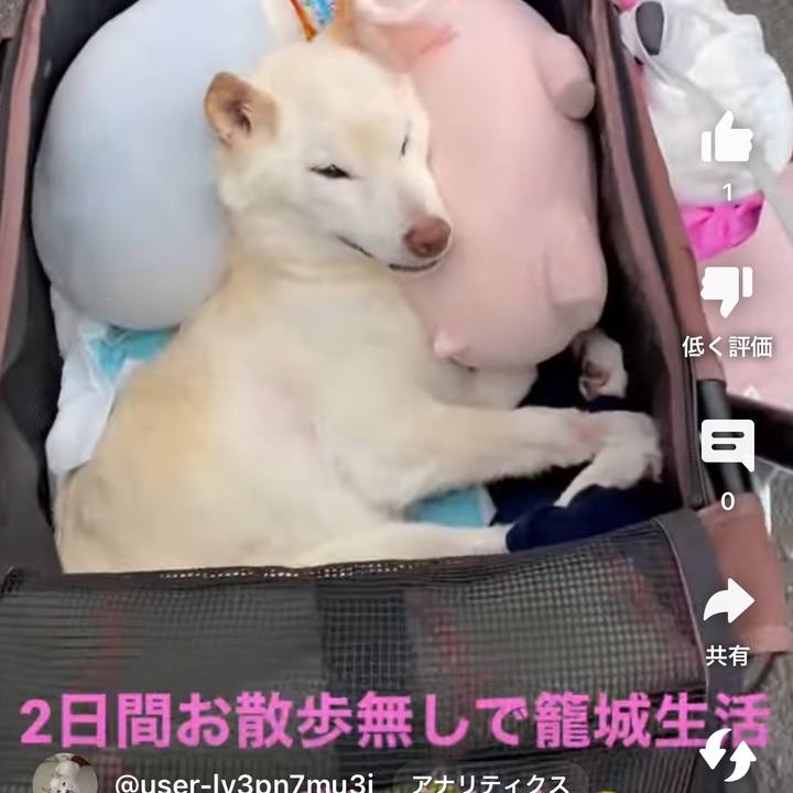 A36256ca 8f6e 4c07 83f6 054b3a5cb8b1 1680933867397