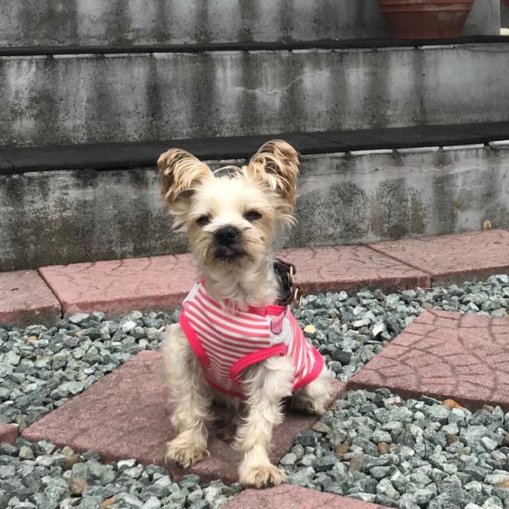 A362b71a 7bf3 4654 8245 89b9e720cb29 1562495771601