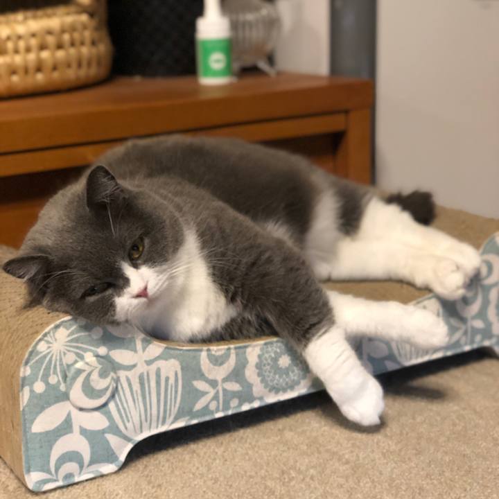 A362ba14 e4e9 4010 b3ed 6f163da72f26 1621136954822