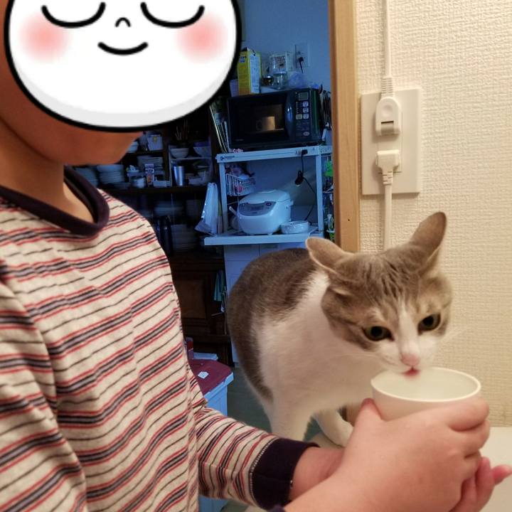 A362d998 e2e1 482b bc10 764f175157ee 1516681445842