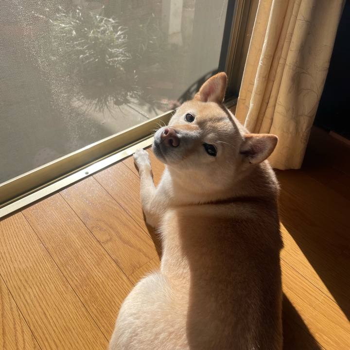 A362fe7c cdbb 403a 975b 9abe2b4464b0 1669082847839