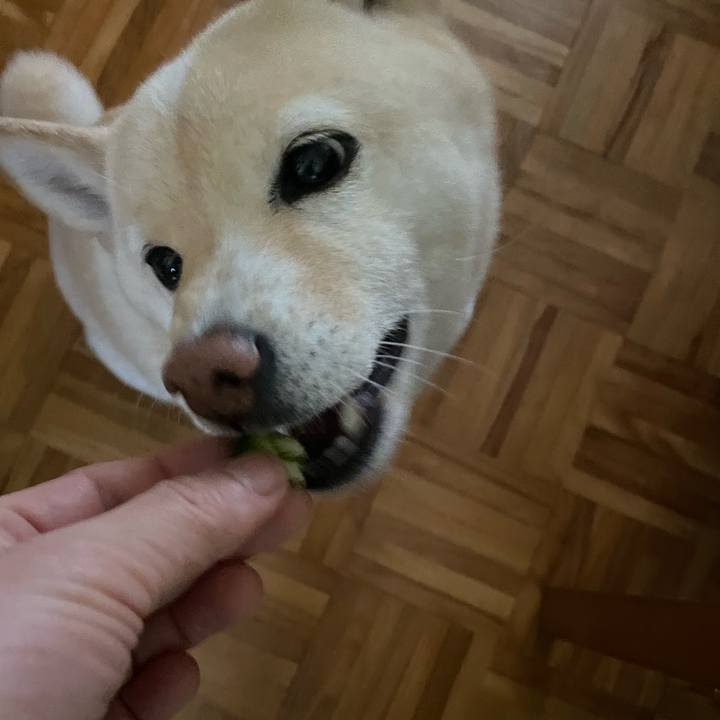 A362ffda dcc1 46bf 8e4d f2949df6c8e7 1703026996123