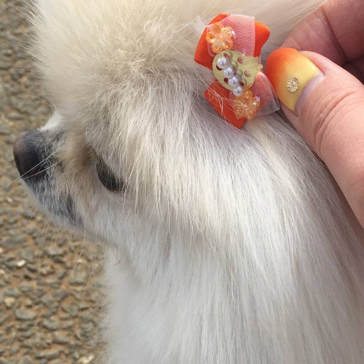 A3630946 a9ec 4ebc b035 6629f06a11f7 1619653823810