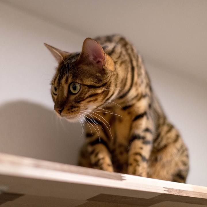 A3631571 cea5 4e47 afc0 4cba2b7e9010 1518020151688