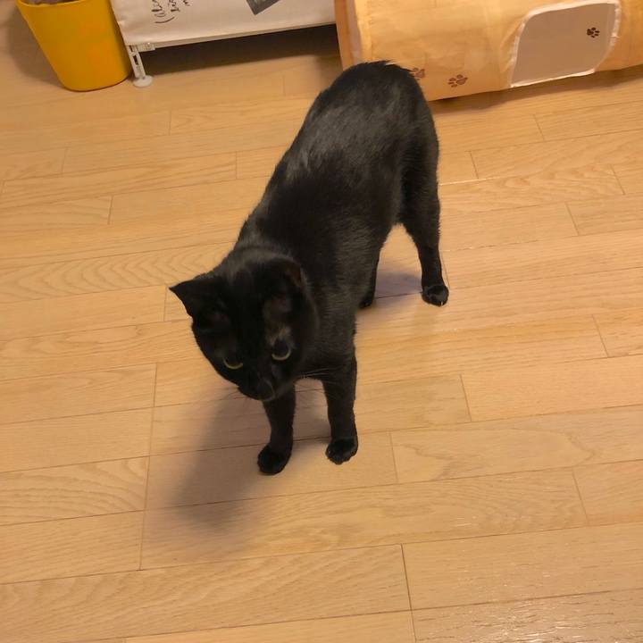 A3635b7c 1350 414c b40b d161a8897898 1555937535502