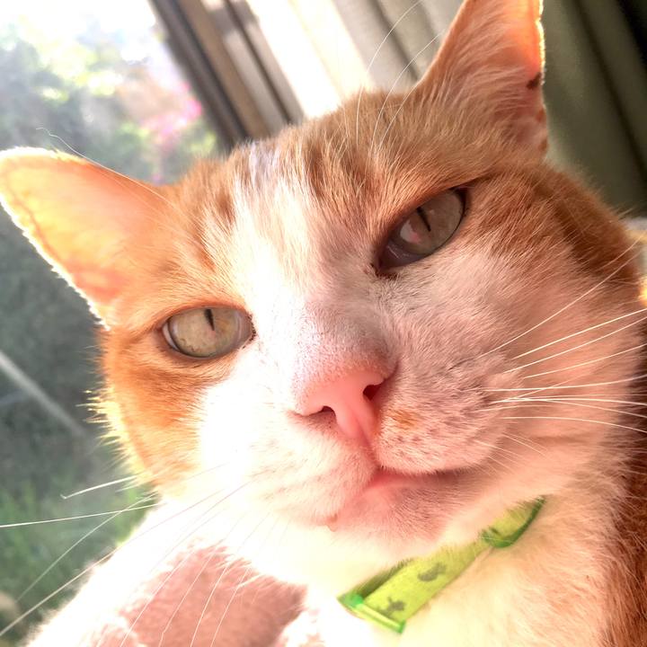 A3636814 0c30 4ddc a495 ac6a74ad6157 1557438366608